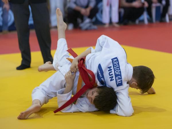 Sikeres, eredményekben gazdag időszak a Ledényi Judo Iskolánál